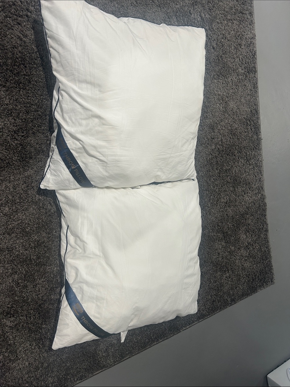 24"x24" pillow insert x2